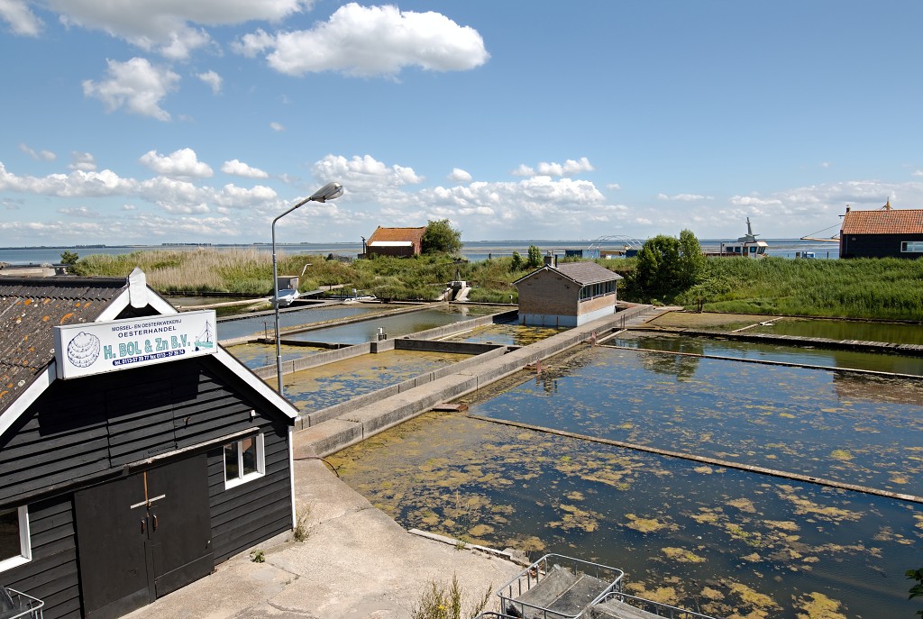 yerseke mossel oester mossels oesters oesterputten hdr kweek zeeland oosterschelde visserij